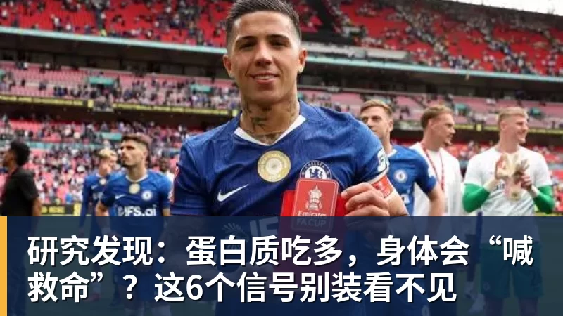 FB体育研究发现:蛋白质吃多,身体会“喊救命”?这6个信号别装看不见 FB体育研究发现:蛋白质吃多,身体会“喊救命”?这6个信号别装看不见